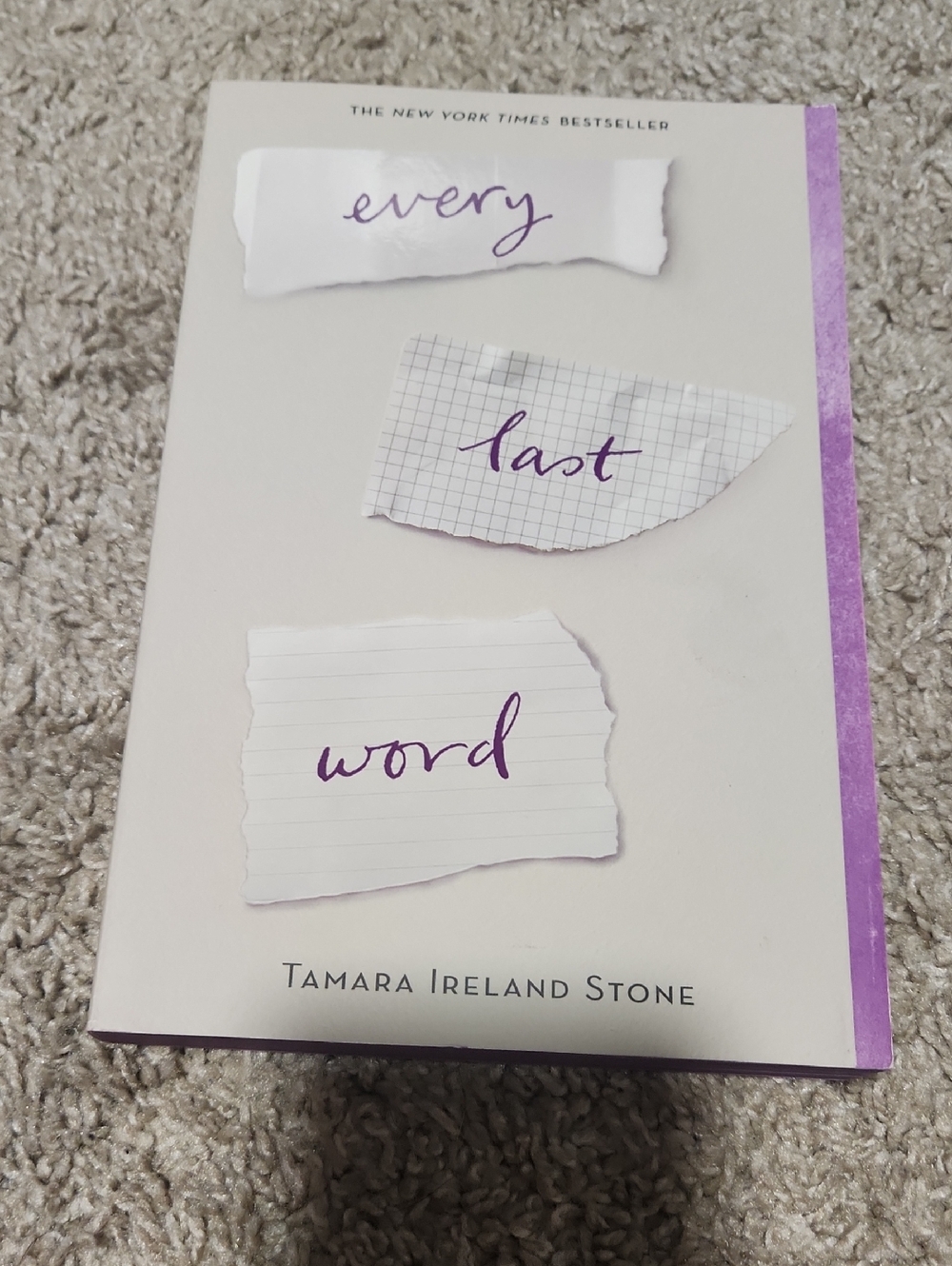 Every Last Word by Tamara Ireland Stone — White & Purple Paperback